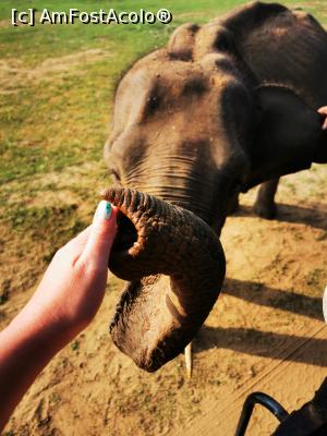 [P22] Un elefant tânăr și foarte prietenos - probabil de la orfelinatul de elefanți adus » foto by cata2106
 - 
<span class="allrVoted glyphicon glyphicon-heart hidden" id="av1288680"></span>
<a class="m-l-10 hidden" id="sv1288680" onclick="voting_Foto_DelVot(,1288680,8783)" role="button">șterge vot <span class="glyphicon glyphicon-remove"></span></a>
<a id="v91288680" class=" c-red"  onclick="voting_Foto_SetVot(1288680)" role="button"><span class="glyphicon glyphicon-heart-empty"></span> <b>LIKE</b> = Votează poza</a> <img class="hidden"  id="f1288680W9" src="/imagini/loader.gif" border="0" /><span class="AjErrMes hidden" id="e1288680ErM"></span>