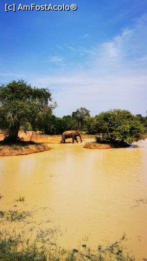 [P39] Elefant la bălăceală » foto by cata2106
 - 
<span class="allrVoted glyphicon glyphicon-heart hidden" id="av1288697"></span>
<a class="m-l-10 hidden" id="sv1288697" onclick="voting_Foto_DelVot(,1288697,8783)" role="button">șterge vot <span class="glyphicon glyphicon-remove"></span></a>
<a id="v91288697" class=" c-red"  onclick="voting_Foto_SetVot(1288697)" role="button"><span class="glyphicon glyphicon-heart-empty"></span> <b>LIKE</b> = Votează poza</a> <img class="hidden"  id="f1288697W9" src="/imagini/loader.gif" border="0" /><span class="AjErrMes hidden" id="e1288697ErM"></span>