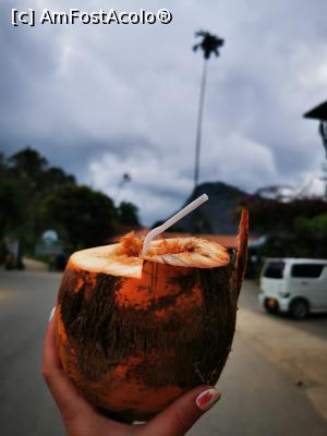 [P18] O nuca de cocos binevenită » foto by cata2106
 - 
<span class="allrVoted glyphicon glyphicon-heart hidden" id="av1291030"></span>
<a class="m-l-10 hidden" id="sv1291030" onclick="voting_Foto_DelVot(,1291030,8783)" role="button">șterge vot <span class="glyphicon glyphicon-remove"></span></a>
<a id="v91291030" class=" c-red"  onclick="voting_Foto_SetVot(1291030)" role="button"><span class="glyphicon glyphicon-heart-empty"></span> <b>LIKE</b> = Votează poza</a> <img class="hidden"  id="f1291030W9" src="/imagini/loader.gif" border="0" /><span class="AjErrMes hidden" id="e1291030ErM"></span>