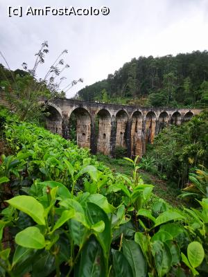 [P26] Nine Arch Bridge » foto by cata2106
 - 
<span class="allrVoted glyphicon glyphicon-heart hidden" id="av1291038"></span>
<a class="m-l-10 hidden" id="sv1291038" onclick="voting_Foto_DelVot(,1291038,8783)" role="button">șterge vot <span class="glyphicon glyphicon-remove"></span></a>
<a id="v91291038" class=" c-red"  onclick="voting_Foto_SetVot(1291038)" role="button"><span class="glyphicon glyphicon-heart-empty"></span> <b>LIKE</b> = Votează poza</a> <img class="hidden"  id="f1291038W9" src="/imagini/loader.gif" border="0" /><span class="AjErrMes hidden" id="e1291038ErM"></span>