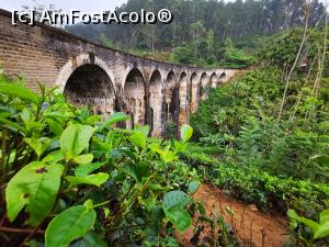 [P60] Nine Arch Bridge la prima ora » foto by cata2106
 - 
<span class="allrVoted glyphicon glyphicon-heart hidden" id="av1291072"></span>
<a class="m-l-10 hidden" id="sv1291072" onclick="voting_Foto_DelVot(,1291072,8783)" role="button">șterge vot <span class="glyphicon glyphicon-remove"></span></a>
<a id="v91291072" class=" c-red"  onclick="voting_Foto_SetVot(1291072)" role="button"><span class="glyphicon glyphicon-heart-empty"></span> <b>LIKE</b> = Votează poza</a> <img class="hidden"  id="f1291072W9" src="/imagini/loader.gif" border="0" /><span class="AjErrMes hidden" id="e1291072ErM"></span>