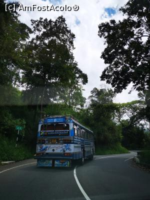[P03] Autobus colorat specific din Sri Lanka » foto by cata2106
 - 
<span class="allrVoted glyphicon glyphicon-heart hidden" id="av1298627"></span>
<a class="m-l-10 hidden" id="sv1298627" onclick="voting_Foto_DelVot(,1298627,8783)" role="button">șterge vot <span class="glyphicon glyphicon-remove"></span></a>
<a id="v91298627" class=" c-red"  onclick="voting_Foto_SetVot(1298627)" role="button"><span class="glyphicon glyphicon-heart-empty"></span> <b>LIKE</b> = Votează poza</a> <img class="hidden"  id="f1298627W9" src="/imagini/loader.gif" border="0" /><span class="AjErrMes hidden" id="e1298627ErM"></span>