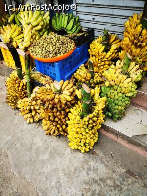 [P91] Banane si masline » foto by cata2106
 - 
<span class="allrVoted glyphicon glyphicon-heart hidden" id="av1299964"></span>
<a class="m-l-10 hidden" id="sv1299964" onclick="voting_Foto_DelVot(,1299964,8783)" role="button">șterge vot <span class="glyphicon glyphicon-remove"></span></a>
<a id="v91299964" class=" c-red"  onclick="voting_Foto_SetVot(1299964)" role="button"><span class="glyphicon glyphicon-heart-empty"></span> <b>LIKE</b> = Votează poza</a> <img class="hidden"  id="f1299964W9" src="/imagini/loader.gif" border="0" /><span class="AjErrMes hidden" id="e1299964ErM"></span>
