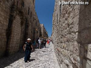 [P08] Via Dolorosa » foto by gilbert
 - 
<span class="allrVoted glyphicon glyphicon-heart hidden" id="av528803"></span>
<a class="m-l-10 hidden" id="sv528803" onclick="voting_Foto_DelVot(,528803,8792)" role="button">șterge vot <span class="glyphicon glyphicon-remove"></span></a>
<a id="v9528803" class=" c-red"  onclick="voting_Foto_SetVot(528803)" role="button"><span class="glyphicon glyphicon-heart-empty"></span> <b>LIKE</b> = Votează poza</a> <img class="hidden"  id="f528803W9" src="/imagini/loader.gif" border="0" /><span class="AjErrMes hidden" id="e528803ErM"></span>