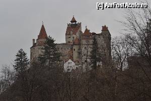 [P11] Pensiunea se afla la maxim 300 metri distanta de intrarea la Castelul Bran. Aceasta imagine are ca punct de statie vecinatatea Capelei Reginei Maria.  » foto by arca
 - 
<span class="allrVoted glyphicon glyphicon-heart hidden" id="av403981"></span>
<a class="m-l-10 hidden" id="sv403981" onclick="voting_Foto_DelVot(,403981,8793)" role="button">șterge vot <span class="glyphicon glyphicon-remove"></span></a>
<a id="v9403981" class=" c-red"  onclick="voting_Foto_SetVot(403981)" role="button"><span class="glyphicon glyphicon-heart-empty"></span> <b>LIKE</b> = Votează poza</a> <img class="hidden"  id="f403981W9" src="/imagini/loader.gif" border="0" /><span class="AjErrMes hidden" id="e403981ErM"></span>