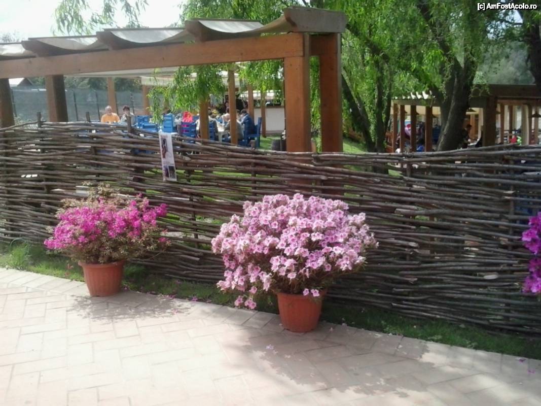 [P19] Casa Comana - terasa restaurant » foto by Dragoș_MD
 - 
<span class="allrVoted glyphicon glyphicon-heart hidden" id="av506186"></span>
<a class="m-l-10 hidden" id="sv506186" onclick="voting_Foto_DelVot(,506186,8832)" role="button">șterge vot <span class="glyphicon glyphicon-remove"></span></a>
<a id="v9506186" class=" c-red"  onclick="voting_Foto_SetVot(506186)" role="button"><span class="glyphicon glyphicon-heart-empty"></span> <b>LIKE</b> = Votează poza</a> <img class="hidden"  id="f506186W9" src="/imagini/loader.gif" border="0" /><span class="AjErrMes hidden" id="e506186ErM"></span>