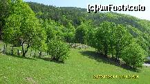 [P58]  -- <small>// FĂRĂ DESCRIERE</small> » foto by adryana
 - 
<span class="allrVoted glyphicon glyphicon-heart hidden" id="av199172"></span>
<a class="m-l-10 hidden" id="sv199172" onclick="voting_Foto_DelVot(,199172,8881)" role="button">șterge vot <span class="glyphicon glyphicon-remove"></span></a>
<a id="v9199172" class=" c-red"  onclick="voting_Foto_SetVot(199172)" role="button"><span class="glyphicon glyphicon-heart-empty"></span> <b>LIKE</b> = Votează poza</a> <img class="hidden"  id="f199172W9" src="/imagini/loader.gif" border="0" /><span class="AjErrMes hidden" id="e199172ErM"></span>