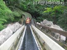 [P05]  -- <small>// FĂRĂ DESCRIERE</small> » foto by jimmybitza*
 - 
<span class="allrVoted glyphicon glyphicon-heart hidden" id="av217199"></span>
<a class="m-l-10 hidden" id="sv217199" onclick="voting_Foto_DelVot(,217199,8903)" role="button">șterge vot <span class="glyphicon glyphicon-remove"></span></a>
<a id="v9217199" class=" c-red"  onclick="voting_Foto_SetVot(217199)" role="button"><span class="glyphicon glyphicon-heart-empty"></span> <b>LIKE</b> = Votează poza</a> <img class="hidden"  id="f217199W9" src="/imagini/loader.gif" border="0" /><span class="AjErrMes hidden" id="e217199ErM"></span>