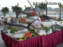 [P19]  -- <small>// FĂRĂ DESCRIERE</small> » foto by valenttina
 - 
<span class="allrVoted glyphicon glyphicon-heart hidden" id="av297484"></span>
<a class="m-l-10 hidden" id="sv297484" onclick="voting_Foto_DelVot(,297484,8907)" role="button">șterge vot <span class="glyphicon glyphicon-remove"></span></a>
<a id="v9297484" class=" c-red"  onclick="voting_Foto_SetVot(297484)" role="button"><span class="glyphicon glyphicon-heart-empty"></span> <b>LIKE</b> = Votează poza</a> <img class="hidden"  id="f297484W9" src="/imagini/loader.gif" border="0" /><span class="AjErrMes hidden" id="e297484ErM"></span>