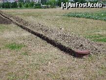 [P02] După cât de uscat era pământul, şanţul fusese săpat de cel puţin o săptămână » foto by Costi
 - 
<span class="allrVoted glyphicon glyphicon-heart hidden" id="av204097"></span>
<a class="m-l-10 hidden" id="sv204097" onclick="voting_Foto_DelVot(,204097,8917)" role="button">șterge vot <span class="glyphicon glyphicon-remove"></span></a>
<a id="v9204097" class=" c-red"  onclick="voting_Foto_SetVot(204097)" role="button"><span class="glyphicon glyphicon-heart-empty"></span> <b>LIKE</b> = Votează poza</a> <img class="hidden"  id="f204097W9" src="/imagini/loader.gif" border="0" /><span class="AjErrMes hidden" id="e204097ErM"></span>