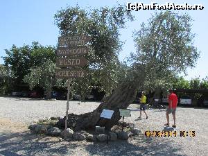 [P16] citeva indicatoare de orientare » foto by adri-nico
 - 
<span class="allrVoted glyphicon glyphicon-heart hidden" id="av621813"></span>
<a class="m-l-10 hidden" id="sv621813" onclick="voting_Foto_DelVot(,621813,8924)" role="button">șterge vot <span class="glyphicon glyphicon-remove"></span></a>
<a id="v9621813" class=" c-red"  onclick="voting_Foto_SetVot(621813)" role="button"><span class="glyphicon glyphicon-heart-empty"></span> <b>LIKE</b> = Votează poza</a> <img class="hidden"  id="f621813W9" src="/imagini/loader.gif" border="0" /><span class="AjErrMes hidden" id="e621813ErM"></span>