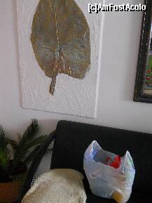 [P19] frumoasa frunza scuzati punga » foto by madalitza17
 - 
<span class="allrVoted glyphicon glyphicon-heart hidden" id="av202108"></span>
<a class="m-l-10 hidden" id="sv202108" onclick="voting_Foto_DelVot(,202108,8951)" role="button">șterge vot <span class="glyphicon glyphicon-remove"></span></a>
<a id="v9202108" class=" c-red"  onclick="voting_Foto_SetVot(202108)" role="button"><span class="glyphicon glyphicon-heart-empty"></span> <b>LIKE</b> = Votează poza</a> <img class="hidden"  id="f202108W9" src="/imagini/loader.gif" border="0" /><span class="AjErrMes hidden" id="e202108ErM"></span>