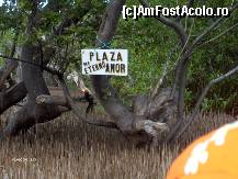 [P21] diferite canale pe lac » foto by travoice
 - 
<span class="allrVoted glyphicon glyphicon-heart hidden" id="av202383"></span>
<a class="m-l-10 hidden" id="sv202383" onclick="voting_Foto_DelVot(,202383,8958)" role="button">șterge vot <span class="glyphicon glyphicon-remove"></span></a>
<a id="v9202383" class=" c-red"  onclick="voting_Foto_SetVot(202383)" role="button"><span class="glyphicon glyphicon-heart-empty"></span> <b>LIKE</b> = Votează poza</a> <img class="hidden"  id="f202383W9" src="/imagini/loader.gif" border="0" /><span class="AjErrMes hidden" id="e202383ErM"></span>