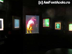 [P64] O cameră cu holograme. Aici nu prea au ieșit pozele.  » foto by ariciu*
 - 
<span class="allrVoted glyphicon glyphicon-heart hidden" id="av502805"></span>
<a class="m-l-10 hidden" id="sv502805" onclick="voting_Foto_DelVot(,502805,9014)" role="button">șterge vot <span class="glyphicon glyphicon-remove"></span></a>
<a id="v9502805" class=" c-red"  onclick="voting_Foto_SetVot(502805)" role="button"><span class="glyphicon glyphicon-heart-empty"></span> <b>LIKE</b> = Votează poza</a> <img class="hidden"  id="f502805W9" src="/imagini/loader.gif" border="0" /><span class="AjErrMes hidden" id="e502805ErM"></span>