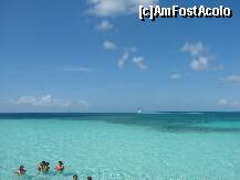 [P10]  -- <small>// FĂRĂ DESCRIERE</small> » foto by bd
 - 
<span class="allrVoted glyphicon glyphicon-heart hidden" id="av237363"></span>
<a class="m-l-10 hidden" id="sv237363" onclick="voting_Foto_DelVot(,237363,9056)" role="button">șterge vot <span class="glyphicon glyphicon-remove"></span></a>
<a id="v9237363" class=" c-red"  onclick="voting_Foto_SetVot(237363)" role="button"><span class="glyphicon glyphicon-heart-empty"></span> <b>LIKE</b> = Votează poza</a> <img class="hidden"  id="f237363W9" src="/imagini/loader.gif" border="0" /><span class="AjErrMes hidden" id="e237363ErM"></span>