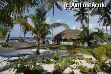 [P03]  -- <small>// FĂRĂ DESCRIERE</small> » foto by bd
 - 
<span class="allrVoted glyphicon glyphicon-heart hidden" id="av237356"></span>
<a class="m-l-10 hidden" id="sv237356" onclick="voting_Foto_DelVot(,237356,9056)" role="button">șterge vot <span class="glyphicon glyphicon-remove"></span></a>
<a id="v9237356" class=" c-red"  onclick="voting_Foto_SetVot(237356)" role="button"><span class="glyphicon glyphicon-heart-empty"></span> <b>LIKE</b> = Votează poza</a> <img class="hidden"  id="f237356W9" src="/imagini/loader.gif" border="0" /><span class="AjErrMes hidden" id="e237356ErM"></span>