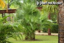 [P04]  -- <small>// FĂRĂ DESCRIERE</small> » foto by bd
 - 
<span class="allrVoted glyphicon glyphicon-heart hidden" id="av237357"></span>
<a class="m-l-10 hidden" id="sv237357" onclick="voting_Foto_DelVot(,237357,9056)" role="button">șterge vot <span class="glyphicon glyphicon-remove"></span></a>
<a id="v9237357" class=" c-red"  onclick="voting_Foto_SetVot(237357)" role="button"><span class="glyphicon glyphicon-heart-empty"></span> <b>LIKE</b> = Votează poza</a> <img class="hidden"  id="f237357W9" src="/imagini/loader.gif" border="0" /><span class="AjErrMes hidden" id="e237357ErM"></span>