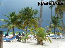 [P08]  -- <small>// FĂRĂ DESCRIERE</small> » foto by bd
 - 
<span class="allrVoted glyphicon glyphicon-heart hidden" id="av237361"></span>
<a class="m-l-10 hidden" id="sv237361" onclick="voting_Foto_DelVot(,237361,9056)" role="button">șterge vot <span class="glyphicon glyphicon-remove"></span></a>
<a id="v9237361" class=" c-red"  onclick="voting_Foto_SetVot(237361)" role="button"><span class="glyphicon glyphicon-heart-empty"></span> <b>LIKE</b> = Votează poza</a> <img class="hidden"  id="f237361W9" src="/imagini/loader.gif" border="0" /><span class="AjErrMes hidden" id="e237361ErM"></span>