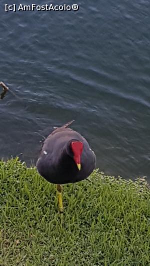 [P36]  -- <small>// FĂRĂ DESCRIERE</small> » foto by robert
 - 
<span class="allrVoted glyphicon glyphicon-heart hidden" id="av946369"></span>
<a class="m-l-10 hidden" id="sv946369" onclick="voting_Foto_DelVot(,946369,9056)" role="button">șterge vot <span class="glyphicon glyphicon-remove"></span></a>
<a id="v9946369" class=" c-red"  onclick="voting_Foto_SetVot(946369)" role="button"><span class="glyphicon glyphicon-heart-empty"></span> <b>LIKE</b> = Votează poza</a> <img class="hidden"  id="f946369W9" src="/imagini/loader.gif" border="0" /><span class="AjErrMes hidden" id="e946369ErM"></span>