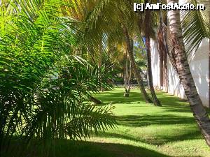 [P11] Curte Resort » foto by popcristian
 - 
<span class="allrVoted glyphicon glyphicon-heart hidden" id="av691866"></span>
<a class="m-l-10 hidden" id="sv691866" onclick="voting_Foto_DelVot(,691866,9056)" role="button">șterge vot <span class="glyphicon glyphicon-remove"></span></a>
<a id="v9691866" class=" c-red"  onclick="voting_Foto_SetVot(691866)" role="button"><span class="glyphicon glyphicon-heart-empty"></span> <b>LIKE</b> = Votează poza</a> <img class="hidden"  id="f691866W9" src="/imagini/loader.gif" border="0" /><span class="AjErrMes hidden" id="e691866ErM"></span>