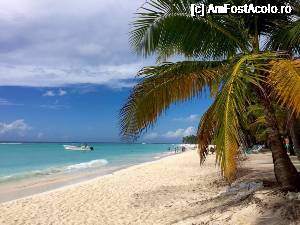 [P13] Insula Saona » foto by popcristian
 - 
<span class="allrVoted glyphicon glyphicon-heart hidden" id="av691868"></span>
<a class="m-l-10 hidden" id="sv691868" onclick="voting_Foto_DelVot(,691868,9056)" role="button">șterge vot <span class="glyphicon glyphicon-remove"></span></a>
<a id="v9691868" class=" c-red"  onclick="voting_Foto_SetVot(691868)" role="button"><span class="glyphicon glyphicon-heart-empty"></span> <b>LIKE</b> = Votează poza</a> <img class="hidden"  id="f691868W9" src="/imagini/loader.gif" border="0" /><span class="AjErrMes hidden" id="e691868ErM"></span>