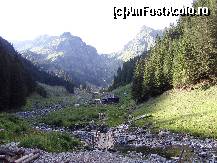 [P10]  -- <small>// FĂRĂ DESCRIERE</small> » foto by ninel*
 - 
<span class="allrVoted glyphicon glyphicon-heart hidden" id="av449361"></span>
<a class="m-l-10 hidden" id="sv449361" onclick="voting_Foto_DelVot(,449361,9057)" role="button">șterge vot <span class="glyphicon glyphicon-remove"></span></a>
<a id="v9449361" class=" c-red"  onclick="voting_Foto_SetVot(449361)" role="button"><span class="glyphicon glyphicon-heart-empty"></span> <b>LIKE</b> = Votează poza</a> <img class="hidden"  id="f449361W9" src="/imagini/loader.gif" border="0" /><span class="AjErrMes hidden" id="e449361ErM"></span>