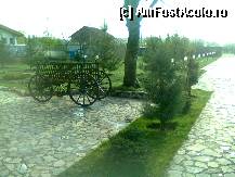 [P03]  -- <small>// FĂRĂ DESCRIERE</small> » foto by florin99
 - 
<span class="allrVoted glyphicon glyphicon-heart hidden" id="av309350"></span>
<a class="m-l-10 hidden" id="sv309350" onclick="voting_Foto_DelVot(,309350,9098)" role="button">șterge vot <span class="glyphicon glyphicon-remove"></span></a>
<a id="v9309350" class=" c-red"  onclick="voting_Foto_SetVot(309350)" role="button"><span class="glyphicon glyphicon-heart-empty"></span> <b>LIKE</b> = Votează poza</a> <img class="hidden"  id="f309350W9" src="/imagini/loader.gif" border="0" /><span class="AjErrMes hidden" id="e309350ErM"></span>