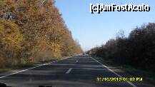 [P82] drumul rin padure de la Satu Mare spre Negresti Oas » foto by adryana
 - 
<span class="allrVoted glyphicon glyphicon-heart hidden" id="av159021"></span>
<a class="m-l-10 hidden" id="sv159021" onclick="voting_Foto_DelVot(,159021,9099)" role="button">șterge vot <span class="glyphicon glyphicon-remove"></span></a>
<a id="v9159021" class=" c-red"  onclick="voting_Foto_SetVot(159021)" role="button"><span class="glyphicon glyphicon-heart-empty"></span> <b>LIKE</b> = Votează poza</a> <img class="hidden"  id="f159021W9" src="/imagini/loader.gif" border="0" /><span class="AjErrMes hidden" id="e159021ErM"></span>