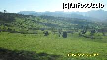 [P96] dealuri in Rona de Jos-Maramures » foto by adryana
 - 
<span class="allrVoted glyphicon glyphicon-heart hidden" id="av159037"></span>
<a class="m-l-10 hidden" id="sv159037" onclick="voting_Foto_DelVot(,159037,9099)" role="button">șterge vot <span class="glyphicon glyphicon-remove"></span></a>
<a id="v9159037" class=" c-red"  onclick="voting_Foto_SetVot(159037)" role="button"><span class="glyphicon glyphicon-heart-empty"></span> <b>LIKE</b> = Votează poza</a> <img class="hidden"  id="f159037W9" src="/imagini/loader.gif" border="0" /><span class="AjErrMes hidden" id="e159037ErM"></span>