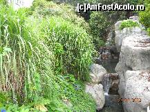 [P04] Tot in Polynesia vegetatia este foarte bogata » foto by bitnic
 - 
<span class="allrVoted glyphicon glyphicon-heart hidden" id="av348168"></span>
<a class="m-l-10 hidden" id="sv348168" onclick="voting_Foto_DelVot(,348168,9107)" role="button">șterge vot <span class="glyphicon glyphicon-remove"></span></a>
<a id="v9348168" class=" c-red"  onclick="voting_Foto_SetVot(348168)" role="button"><span class="glyphicon glyphicon-heart-empty"></span> <b>LIKE</b> = Votează poza</a> <img class="hidden"  id="f348168W9" src="/imagini/loader.gif" border="0" /><span class="AjErrMes hidden" id="e348168ErM"></span>