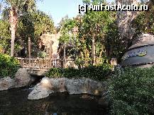 [P17] Sea Odissey un alt cine-spectacol frumos » foto by bogdanfifa
 - 
<span class="allrVoted glyphicon glyphicon-heart hidden" id="av326056"></span>
<a class="m-l-10 hidden" id="sv326056" onclick="voting_Foto_DelVot(,326056,9107)" role="button">șterge vot <span class="glyphicon glyphicon-remove"></span></a>
<a id="v9326056" class=" c-red"  onclick="voting_Foto_SetVot(326056)" role="button"><span class="glyphicon glyphicon-heart-empty"></span> <b>LIKE</b> = Votează poza</a> <img class="hidden"  id="f326056W9" src="/imagini/loader.gif" border="0" /><span class="AjErrMes hidden" id="e326056ErM"></span>