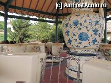 [P26] Tea Cups » foto by bogdanfifa
 - 
<span class="allrVoted glyphicon glyphicon-heart hidden" id="av326165"></span>
<a class="m-l-10 hidden" id="sv326165" onclick="voting_Foto_DelVot(,326165,9107)" role="button">șterge vot <span class="glyphicon glyphicon-remove"></span></a>
<a id="v9326165" class=" c-red"  onclick="voting_Foto_SetVot(326165)" role="button"><span class="glyphicon glyphicon-heart-empty"></span> <b>LIKE</b> = Votează poza</a> <img class="hidden"  id="f326165W9" src="/imagini/loader.gif" border="0" /><span class="AjErrMes hidden" id="e326165ErM"></span>