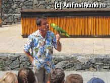 [P07] Spectacol impresionat merita vazut ! » foto by bogdanfifa
 - 
<span class="allrVoted glyphicon glyphicon-heart hidden" id="av326046"></span>
<a class="m-l-10 hidden" id="sv326046" onclick="voting_Foto_DelVot(,326046,9107)" role="button">șterge vot <span class="glyphicon glyphicon-remove"></span></a>
<a id="v9326046" class=" c-red"  onclick="voting_Foto_SetVot(326046)" role="button"><span class="glyphicon glyphicon-heart-empty"></span> <b>LIKE</b> = Votează poza</a> <img class="hidden"  id="f326046W9" src="/imagini/loader.gif" border="0" /><span class="AjErrMes hidden" id="e326046ErM"></span>