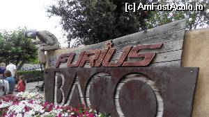 [P02] Intrarea la Furius Baco » foto by cdiana
 - 
<span class="allrVoted glyphicon glyphicon-heart hidden" id="av533182"></span>
<a class="m-l-10 hidden" id="sv533182" onclick="voting_Foto_DelVot(,533182,9107)" role="button">șterge vot <span class="glyphicon glyphicon-remove"></span></a>
<a id="v9533182" class=" c-red"  onclick="voting_Foto_SetVot(533182)" role="button"><span class="glyphicon glyphicon-heart-empty"></span> <b>LIKE</b> = Votează poza</a> <img class="hidden"  id="f533182W9" src="/imagini/loader.gif" border="0" /><span class="AjErrMes hidden" id="e533182ErM"></span>