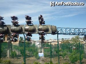 [P11] portaventura » foto by bogdan 75
 - 
<span class="allrVoted glyphicon glyphicon-heart hidden" id="av433606"></span>
<a class="m-l-10 hidden" id="sv433606" onclick="voting_Foto_DelVot(,433606,9107)" role="button">șterge vot <span class="glyphicon glyphicon-remove"></span></a>
<a id="v9433606" class=" c-red"  onclick="voting_Foto_SetVot(433606)" role="button"><span class="glyphicon glyphicon-heart-empty"></span> <b>LIKE</b> = Votează poza</a> <img class="hidden"  id="f433606W9" src="/imagini/loader.gif" border="0" /><span class="AjErrMes hidden" id="e433606ErM"></span>