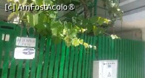 [P06] Casa Pinciuc, Costinești » foto by Mioritik
 - 
<span class="allrVoted glyphicon glyphicon-heart hidden" id="av1396683"></span>
<a class="m-l-10 hidden" id="sv1396683" onclick="voting_Foto_DelVot(,1396683,9230)" role="button">șterge vot <span class="glyphicon glyphicon-remove"></span></a>
<a id="v91396683" class=" c-red"  onclick="voting_Foto_SetVot(1396683)" role="button"><span class="glyphicon glyphicon-heart-empty"></span> <b>LIKE</b> = Votează poza</a> <img class="hidden"  id="f1396683W9" src="/imagini/loader.gif" border="0" /><span class="AjErrMes hidden" id="e1396683ErM"></span>