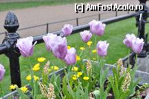 [P10] Hyde Park » foto by redmari108
 - 
<span class="allrVoted glyphicon glyphicon-heart hidden" id="av291787"></span>
<a class="m-l-10 hidden" id="sv291787" onclick="voting_Foto_DelVot(,291787,9233)" role="button">șterge vot <span class="glyphicon glyphicon-remove"></span></a>
<a id="v9291787" class=" c-red"  onclick="voting_Foto_SetVot(291787)" role="button"><span class="glyphicon glyphicon-heart-empty"></span> <b>LIKE</b> = Votează poza</a> <img class="hidden"  id="f291787W9" src="/imagini/loader.gif" border="0" /><span class="AjErrMes hidden" id="e291787ErM"></span>