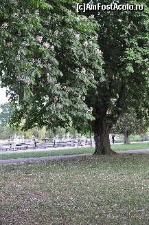 [P32] Pom inflorit, primavara in Hyde Park » foto by redmari108
 - 
<span class="allrVoted glyphicon glyphicon-heart hidden" id="av291838"></span>
<a class="m-l-10 hidden" id="sv291838" onclick="voting_Foto_DelVot(,291838,9233)" role="button">șterge vot <span class="glyphicon glyphicon-remove"></span></a>
<a id="v9291838" class=" c-red"  onclick="voting_Foto_SetVot(291838)" role="button"><span class="glyphicon glyphicon-heart-empty"></span> <b>LIKE</b> = Votează poza</a> <img class="hidden"  id="f291838W9" src="/imagini/loader.gif" border="0" /><span class="AjErrMes hidden" id="e291838ErM"></span>