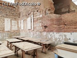 [P24] <strong>Descoperă oraşul antic Efes</strong> » foto by ⭐ValentinB_88⭐
 - 
<span class="allrVoted glyphicon glyphicon-heart hidden" id="av1307310"></span>
<a class="m-l-10 hidden" id="sv1307310" onclick="voting_Foto_DelVot(,1307310,9243)" role="button">șterge vot <span class="glyphicon glyphicon-remove"></span></a>
<a id="v91307310" class=" c-red"  onclick="voting_Foto_SetVot(1307310)" role="button"><span class="glyphicon glyphicon-heart-empty"></span> <b>LIKE</b> = Votează poza</a> <img class="hidden"  id="f1307310W9" src="/imagini/loader.gif" border="0" /><span class="AjErrMes hidden" id="e1307310ErM"></span>