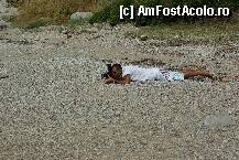 [P15] Plimbare cu vaporasul pe coasta Marii Egee / feriti-va de pozele facute de el » foto by aaaaa
 - 
<span class="allrVoted glyphicon glyphicon-heart hidden" id="av215651"></span>
<a class="m-l-10 hidden" id="sv215651" onclick="voting_Foto_DelVot(,215651,9243)" role="button">șterge vot <span class="glyphicon glyphicon-remove"></span></a>
<a id="v9215651" class=" c-red"  onclick="voting_Foto_SetVot(215651)" role="button"><span class="glyphicon glyphicon-heart-empty"></span> <b>LIKE</b> = Votează poza</a> <img class="hidden"  id="f215651W9" src="/imagini/loader.gif" border="0" /><span class="AjErrMes hidden" id="e215651ErM"></span>
