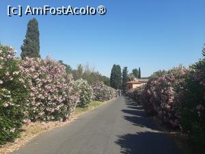 [P01] Via Appia Antica » foto by adso
 - 
<span class="allrVoted glyphicon glyphicon-heart hidden" id="av1493742"></span>
<a class="m-l-10 hidden" id="sv1493742" onclick="voting_Foto_DelVot(,1493742,9312)" role="button">șterge vot <span class="glyphicon glyphicon-remove"></span></a>
<a id="v91493742" class=" c-red"  onclick="voting_Foto_SetVot(1493742)" role="button"><span class="glyphicon glyphicon-heart-empty"></span> <b>LIKE</b> = Votează poza</a> <img class="hidden"  id="f1493742W9" src="/imagini/loader.gif" border="0" /><span class="AjErrMes hidden" id="e1493742ErM"></span>