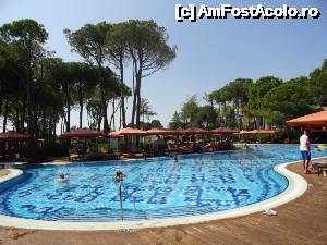 [P29] Piscina principala » foto by Wayfarer
 - 
<span class="allrVoted glyphicon glyphicon-heart hidden" id="av501145"></span>
<a class="m-l-10 hidden" id="sv501145" onclick="voting_Foto_DelVot(,501145,9343)" role="button">șterge vot <span class="glyphicon glyphicon-remove"></span></a>
<a id="v9501145" class=" c-red"  onclick="voting_Foto_SetVot(501145)" role="button"><span class="glyphicon glyphicon-heart-empty"></span> <b>LIKE</b> = Votează poza</a> <img class="hidden"  id="f501145W9" src="/imagini/loader.gif" border="0" /><span class="AjErrMes hidden" id="e501145ErM"></span>