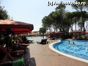 [P30] Piscina principala » foto by Wayfarer
 - 
<span class="allrVoted glyphicon glyphicon-heart hidden" id="av501146"></span>
<a class="m-l-10 hidden" id="sv501146" onclick="voting_Foto_DelVot(,501146,9343)" role="button">șterge vot <span class="glyphicon glyphicon-remove"></span></a>
<a id="v9501146" class=" c-red"  onclick="voting_Foto_SetVot(501146)" role="button"><span class="glyphicon glyphicon-heart-empty"></span> <b>LIKE</b> = Votează poza</a> <img class="hidden"  id="f501146W9" src="/imagini/loader.gif" border="0" /><span class="AjErrMes hidden" id="e501146ErM"></span>