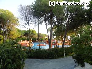 [P31] Piscina principala » foto by Wayfarer
 - 
<span class="allrVoted glyphicon glyphicon-heart hidden" id="av501147"></span>
<a class="m-l-10 hidden" id="sv501147" onclick="voting_Foto_DelVot(,501147,9343)" role="button">șterge vot <span class="glyphicon glyphicon-remove"></span></a>
<a id="v9501147" class=" c-red"  onclick="voting_Foto_SetVot(501147)" role="button"><span class="glyphicon glyphicon-heart-empty"></span> <b>LIKE</b> = Votează poza</a> <img class="hidden"  id="f501147W9" src="/imagini/loader.gif" border="0" /><span class="AjErrMes hidden" id="e501147ErM"></span>