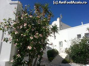 [P21] Curtea interioara » foto by LeaveYou
 - 
<span class="allrVoted glyphicon glyphicon-heart hidden" id="av527498"></span>
<a class="m-l-10 hidden" id="sv527498" onclick="voting_Foto_DelVot(,527498,9344)" role="button">șterge vot <span class="glyphicon glyphicon-remove"></span></a>
<a id="v9527498" class=" c-red"  onclick="voting_Foto_SetVot(527498)" role="button"><span class="glyphicon glyphicon-heart-empty"></span> <b>LIKE</b> = Votează poza</a> <img class="hidden"  id="f527498W9" src="/imagini/loader.gif" border="0" /><span class="AjErrMes hidden" id="e527498ErM"></span>