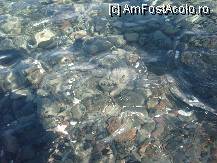 [P10] Apa din mare extrem de limpede » foto by iri_oq
 - 
<span class="allrVoted glyphicon glyphicon-heart hidden" id="av220887"></span>
<a class="m-l-10 hidden" id="sv220887" onclick="voting_Foto_DelVot(,220887,9344)" role="button">șterge vot <span class="glyphicon glyphicon-remove"></span></a>
<a id="v9220887" class=" c-red"  onclick="voting_Foto_SetVot(220887)" role="button"><span class="glyphicon glyphicon-heart-empty"></span> <b>LIKE</b> = Votează poza</a> <img class="hidden"  id="f220887W9" src="/imagini/loader.gif" border="0" /><span class="AjErrMes hidden" id="e220887ErM"></span>