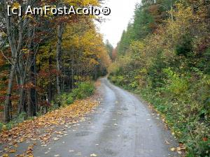 [P01] Prima parte a drumului, imediat după plecarea de la Lacul Roşu » foto by Claudiu U.
 - 
<span class="allrVoted glyphicon glyphicon-heart hidden" id="av733502"></span>
<a class="m-l-10 hidden" id="sv733502" onclick="voting_Foto_DelVot(,733502,9349)" role="button">șterge vot <span class="glyphicon glyphicon-remove"></span></a>
<a id="v9733502" class=" c-red"  onclick="voting_Foto_SetVot(733502)" role="button"><span class="glyphicon glyphicon-heart-empty"></span> <b>LIKE</b> = Votează poza</a> <img class="hidden"  id="f733502W9" src="/imagini/loader.gif" border="0" /><span class="AjErrMes hidden" id="e733502ErM"></span>