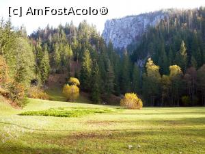 [P05] Poiana de dinainte de traversarea văii Bicăjelului » foto by Claudiu U.
 - 
<span class="allrVoted glyphicon glyphicon-heart hidden" id="av733506"></span>
<a class="m-l-10 hidden" id="sv733506" onclick="voting_Foto_DelVot(,733506,9349)" role="button">șterge vot <span class="glyphicon glyphicon-remove"></span></a>
<a id="v9733506" class=" c-red"  onclick="voting_Foto_SetVot(733506)" role="button"><span class="glyphicon glyphicon-heart-empty"></span> <b>LIKE</b> = Votează poza</a> <img class="hidden"  id="f733506W9" src="/imagini/loader.gif" border="0" /><span class="AjErrMes hidden" id="e733506ErM"></span>