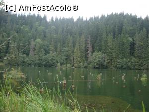 [P46] Se observă cioturile de copaci care ies la suprafața apei, urme ale pădurii care a fost inundată după blocarea cursului râului.  » foto by Floryn81
 - 
<span class="allrVoted glyphicon glyphicon-heart hidden" id="av738022"></span>
<a class="m-l-10 hidden" id="sv738022" onclick="voting_Foto_DelVot(,738022,9349)" role="button">șterge vot <span class="glyphicon glyphicon-remove"></span></a>
<a id="v9738022" class=" c-red"  onclick="voting_Foto_SetVot(738022)" role="button"><span class="glyphicon glyphicon-heart-empty"></span> <b>LIKE</b> = Votează poza</a> <img class="hidden"  id="f738022W9" src="/imagini/loader.gif" border="0" /><span class="AjErrMes hidden" id="e738022ErM"></span>