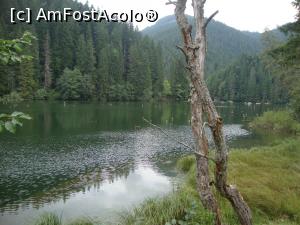 [P51] Lacul Roșu - un loc superb, o imagine care ne spune parcă să vizităm România!  » foto by Floryn81
 - 
<span class="allrVoted glyphicon glyphicon-heart hidden" id="av738027"></span>
<a class="m-l-10 hidden" id="sv738027" onclick="voting_Foto_DelVot(,738027,9349)" role="button">șterge vot <span class="glyphicon glyphicon-remove"></span></a>
<a id="v9738027" class=" c-red"  onclick="voting_Foto_SetVot(738027)" role="button"><span class="glyphicon glyphicon-heart-empty"></span> <b>LIKE</b> = Votează poza</a> <img class="hidden"  id="f738027W9" src="/imagini/loader.gif" border="0" /><span class="AjErrMes hidden" id="e738027ErM"></span>